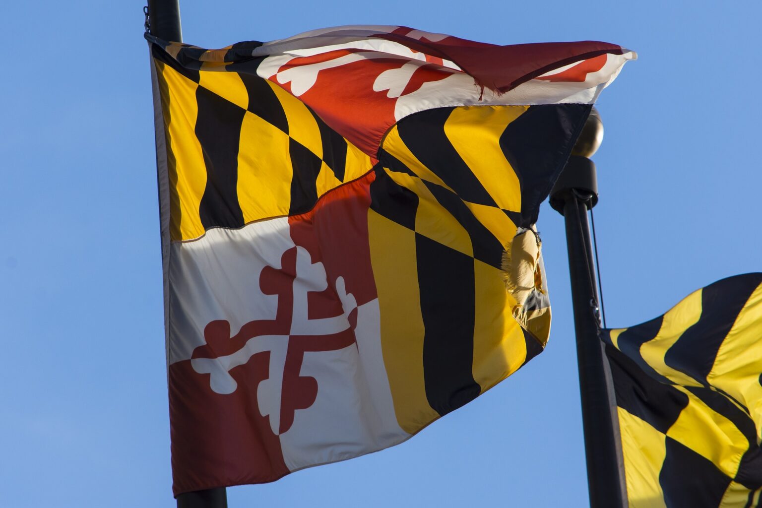 maryland-comptroller-delays-certain-tax-related-deadlines-for-2021-and