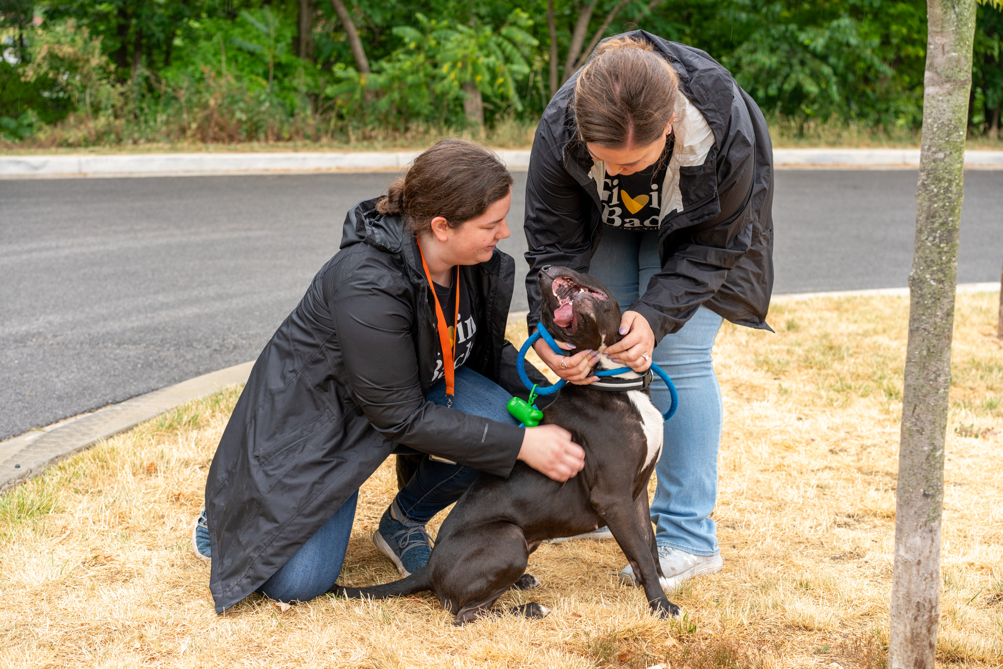 Colleen McNulty and Makayla Mullikin crouch down to pet a black dog at BARCS.