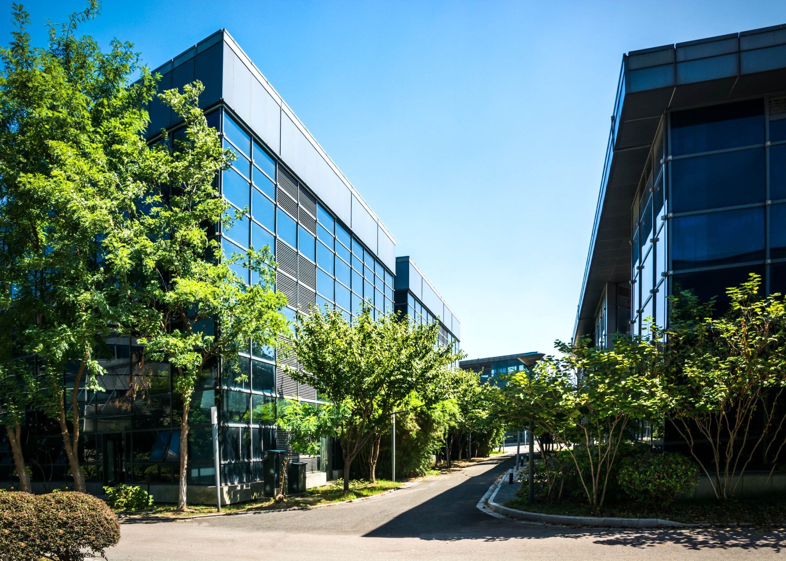 exterior of small office building with tree lined sidewalks