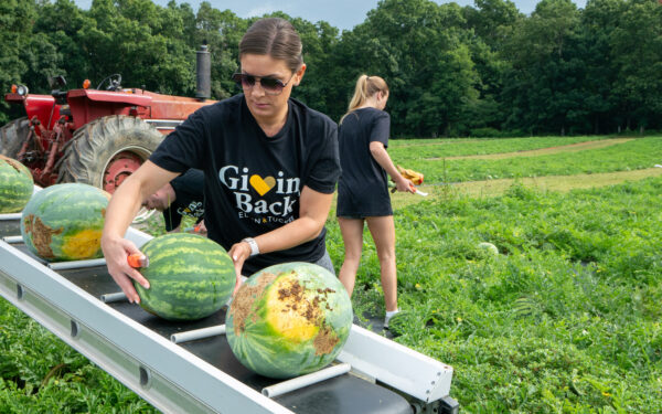 Woman wearing sunglasses and black tshirt places watermelon on a metal conveyor belt