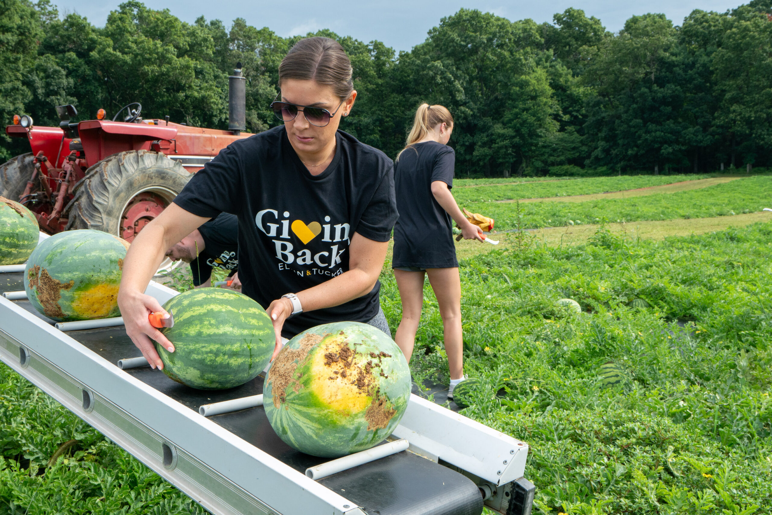 Woman wearing sunglasses and black tshirt places watermelon on a metal conveyor belt